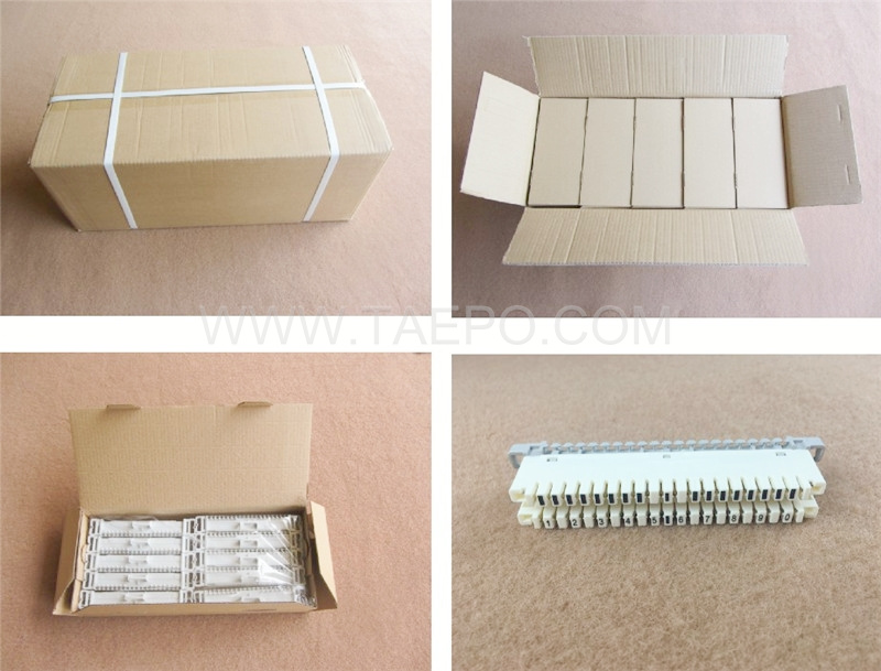 Packing picture for 10 pairs LSA disconnection module