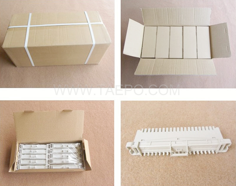 packing picture for 10 pairs LSA connection module 