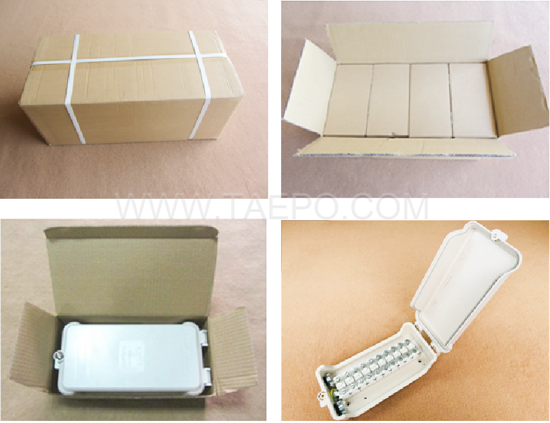 Packing pictures for Outdoor 10 pairs distribution point box for STB module