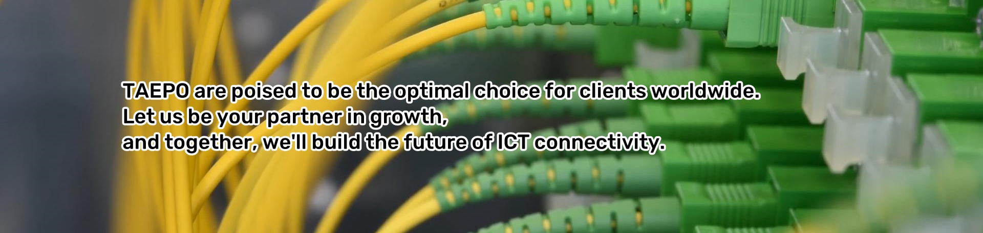 TAEPO are poised to be the optimal choice for clients worldwide. Let us be your partner in growth, and togerther. we'll build the future of ICT connectivity.