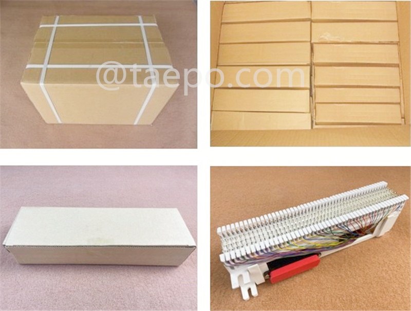 Packing pictures for 50 pairs S66M block with 1 female 50-pin RJ21 connection