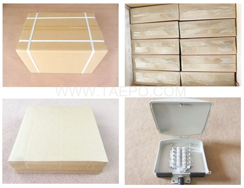 Packing pictures for Outdoor 10 pairs terminal box for STUB module