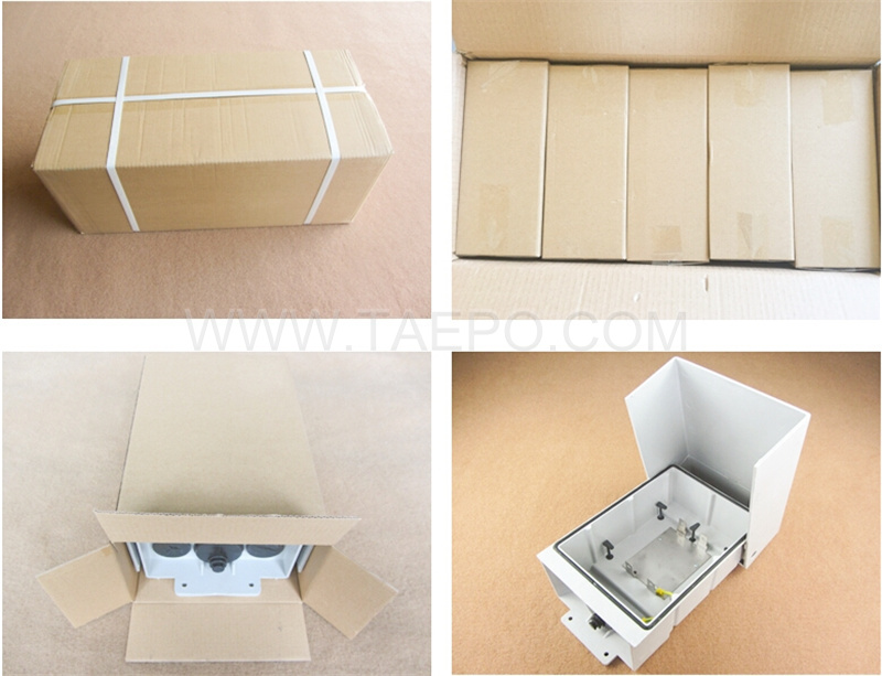 Packing pictures for Outdoor 20 pairs connection box 1B 11 for LSA module