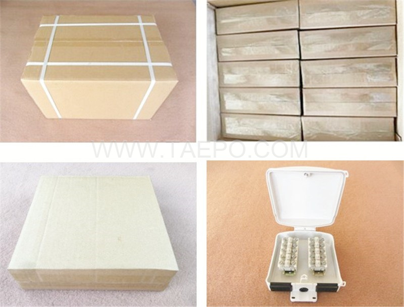 Packing pictures for Outdoor 10 pairs terminal box for STB module