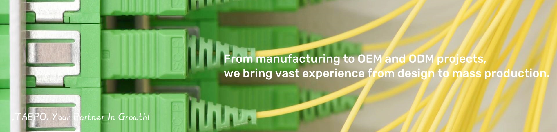 From manufacutring to OEM and ODM projects,  we TAEPO bring vast experience from design to mass production.