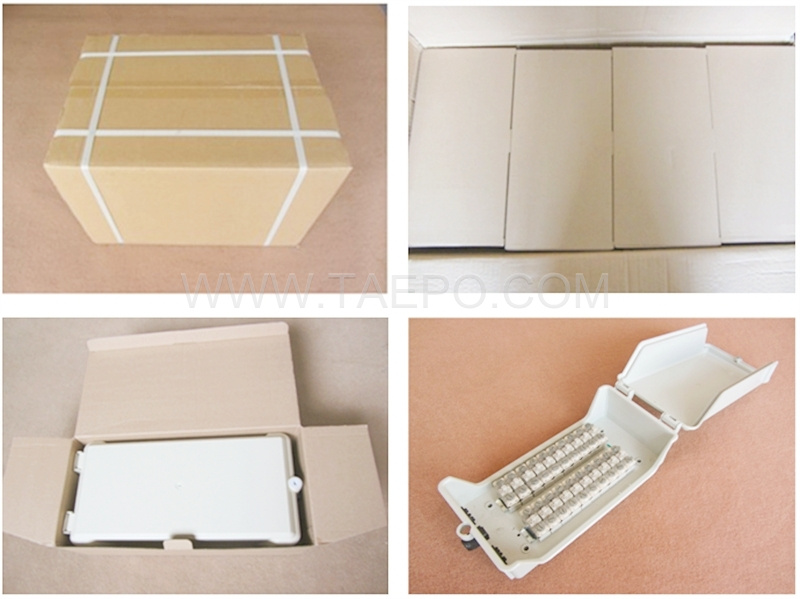 Packing pictures for Outdoor 20 pairs distribution point box for STB module
