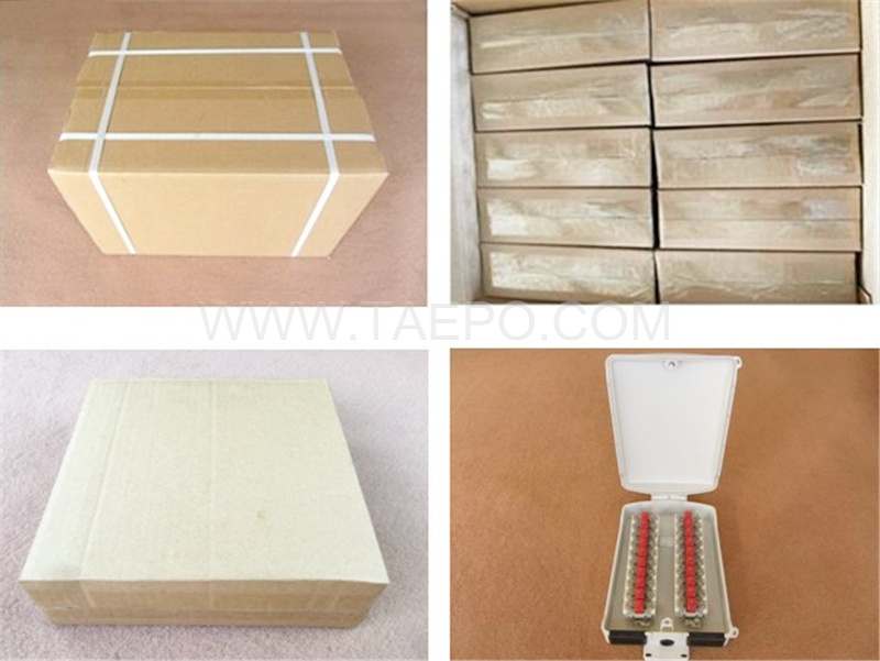 Packing pictures for Outdoor 20 pairs terminal box for STB module with over-voltage protection