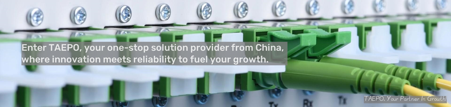 Enter TAEPO, your one-stop solution provider from China, where innovation meets reliability to fuel your frowth.