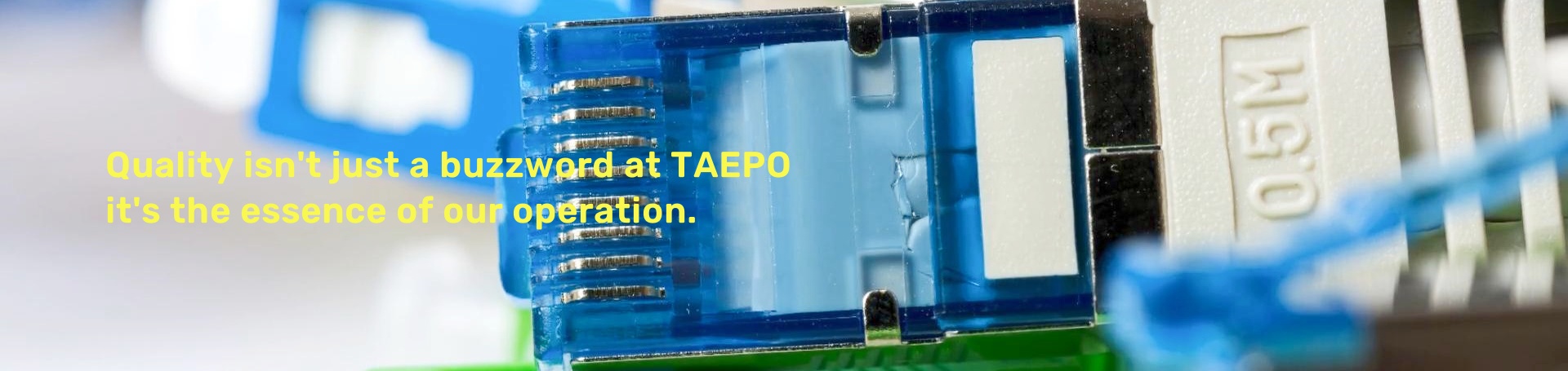 Quality isn't just a buzzword at TAEPO. its the essence of our operation.