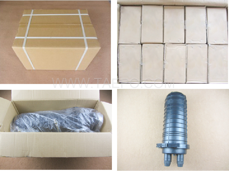 Packing pictures for 400 pairs Copper dome closure