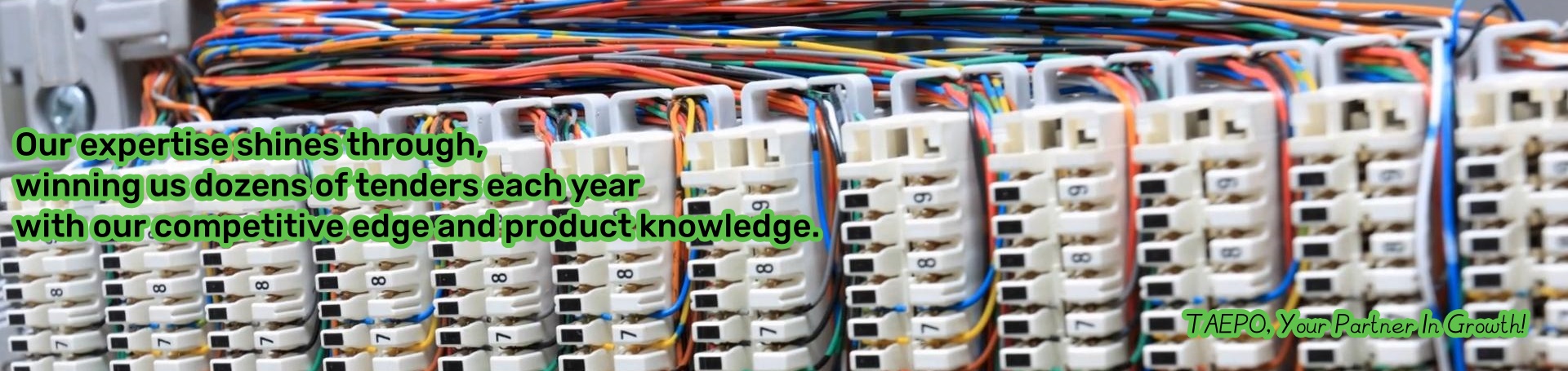 Our expertise shines through, winning us dozens of tenders each year with our competive edge and product knowledge.