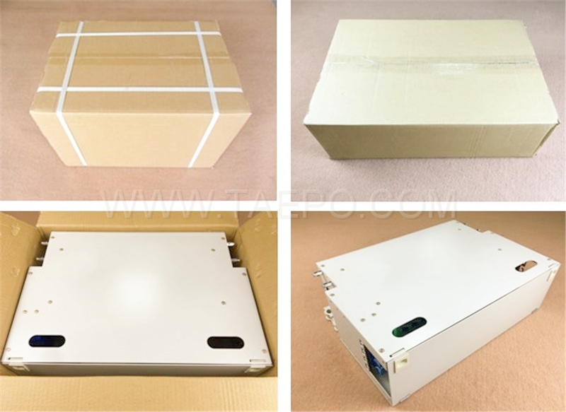 Packing pictures for Rack mounted ODF, 19