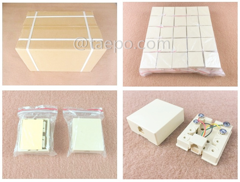 Packing pictures for 1-port connection box, CAT3, 6P4C