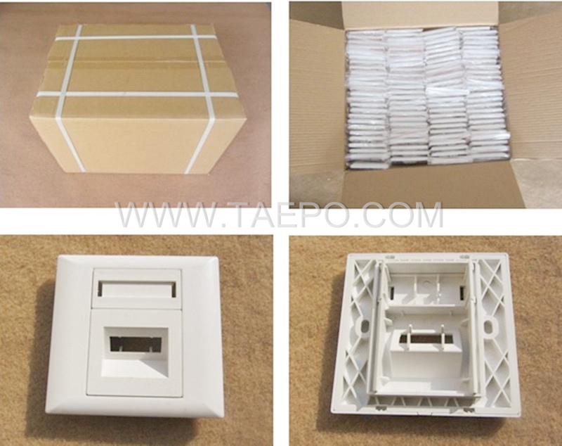Packing pictures for Fiber optic faceplate, duplex, SC, 86x86mm