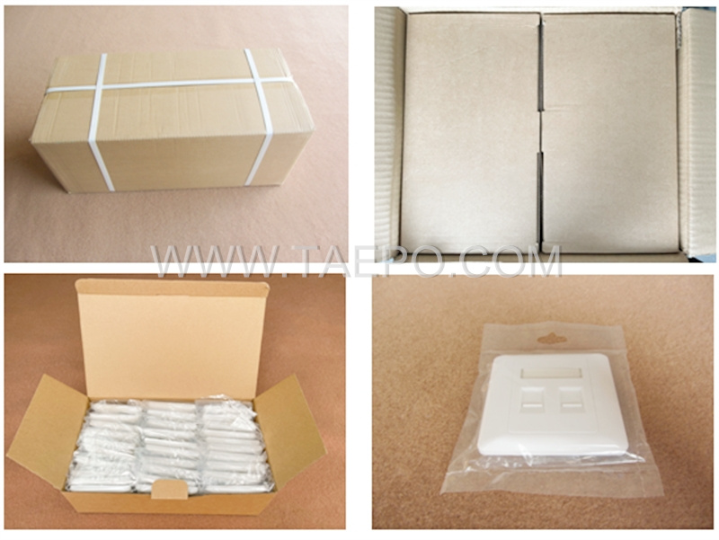 Packing pictures for 2-port faceplate, 86x86mm, AP style