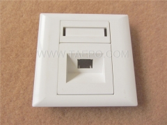 Fiber optic faceplate, simplex, SC, 86x86mm