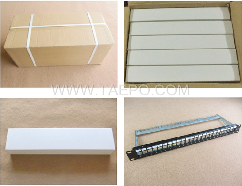 Packing Picture for 1U height 24 port blank patch panel for STP keystone jack with cable manager